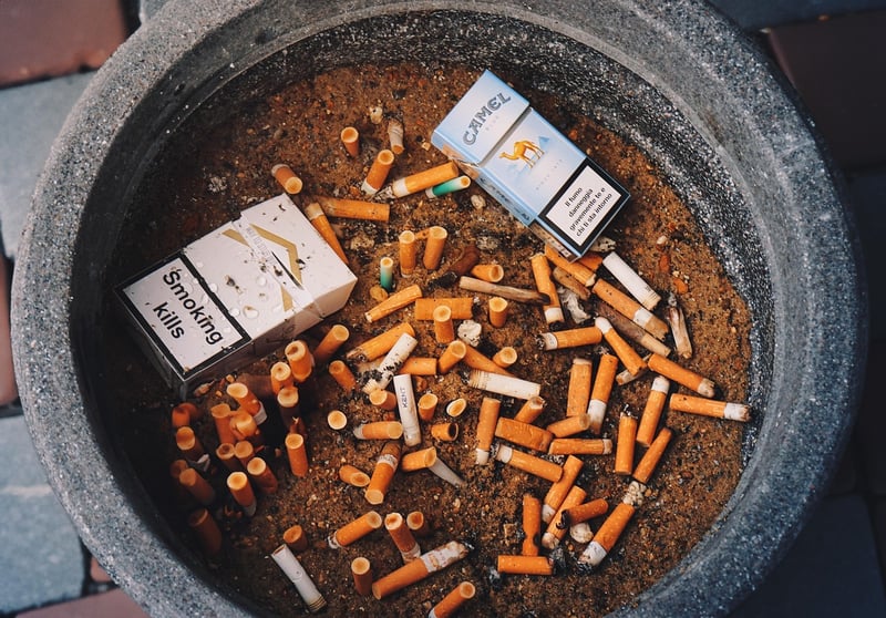 Zero Waste Habits