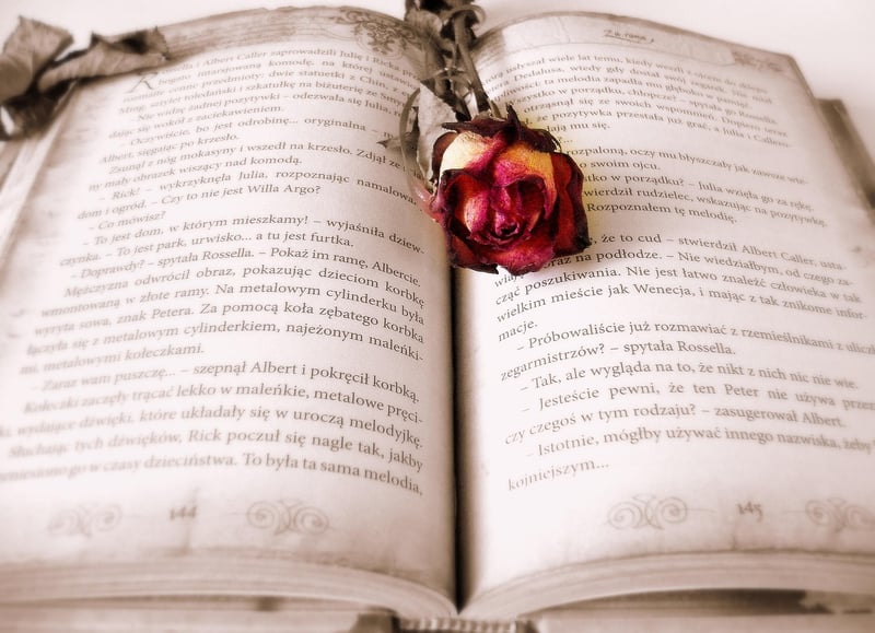 Book Page Wall Art